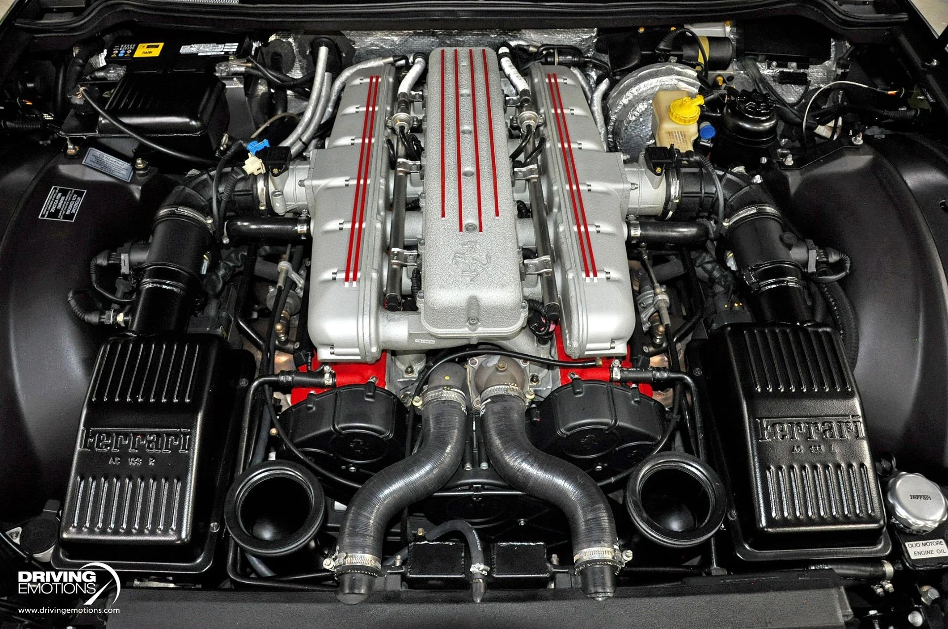 mph114_4250533638_284_p115_l_294417d9a9