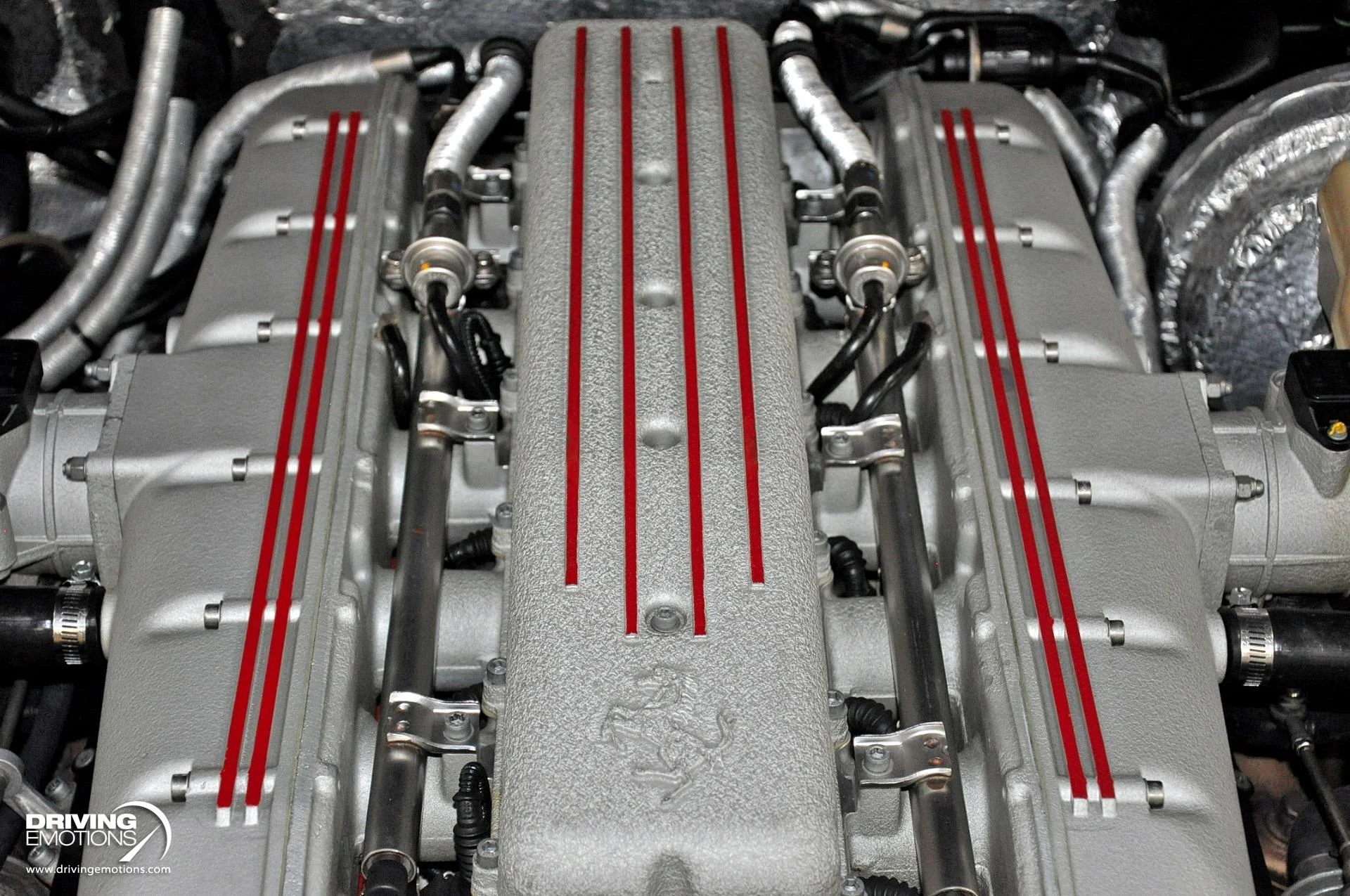 mph115_1085151063_284_p116_l_737126810a