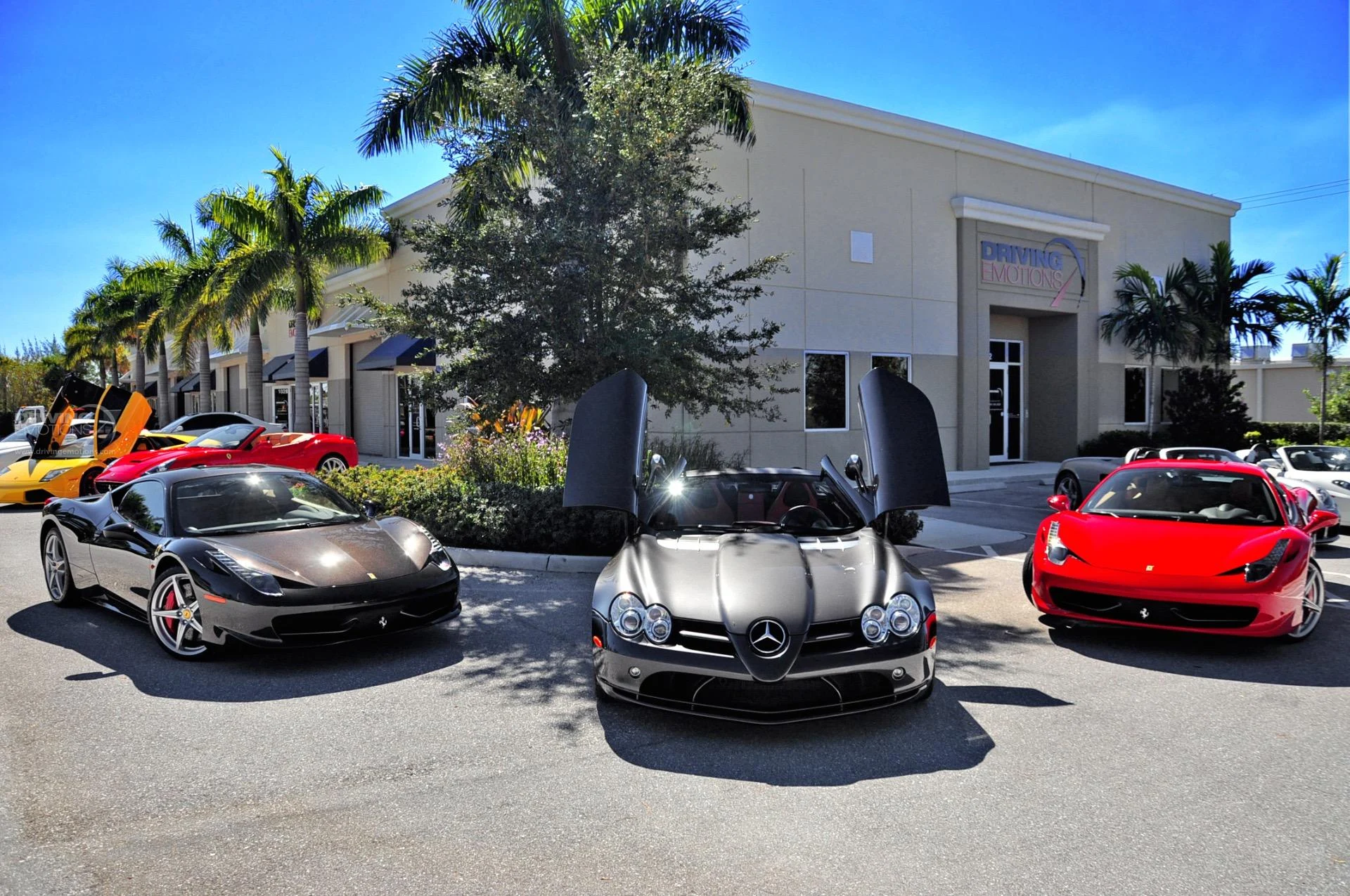 mph115_2338622838_192_p116_l_203b3bcb91