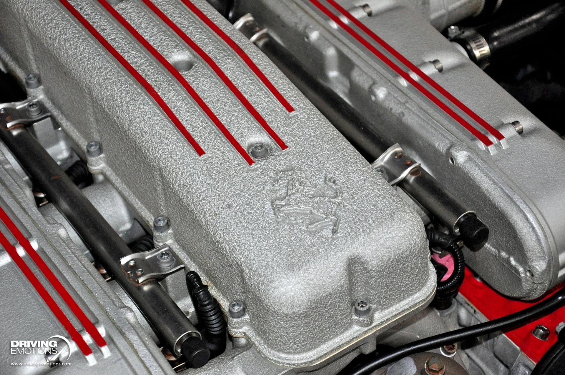 mph116_395801797_284_p117_l_4a4f6fe837