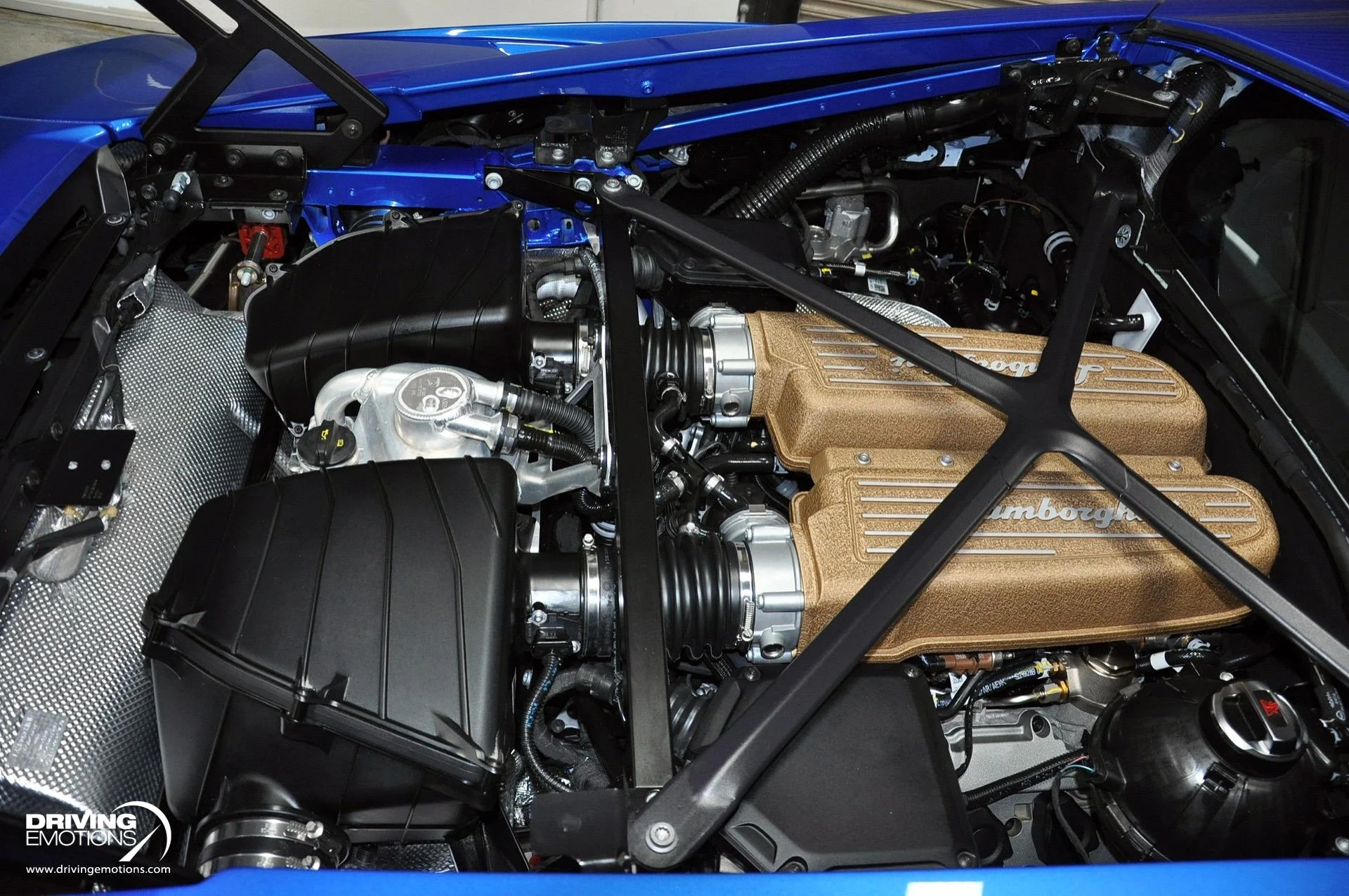 mph117_1257622117_743_p118_l_41ebe0ad75