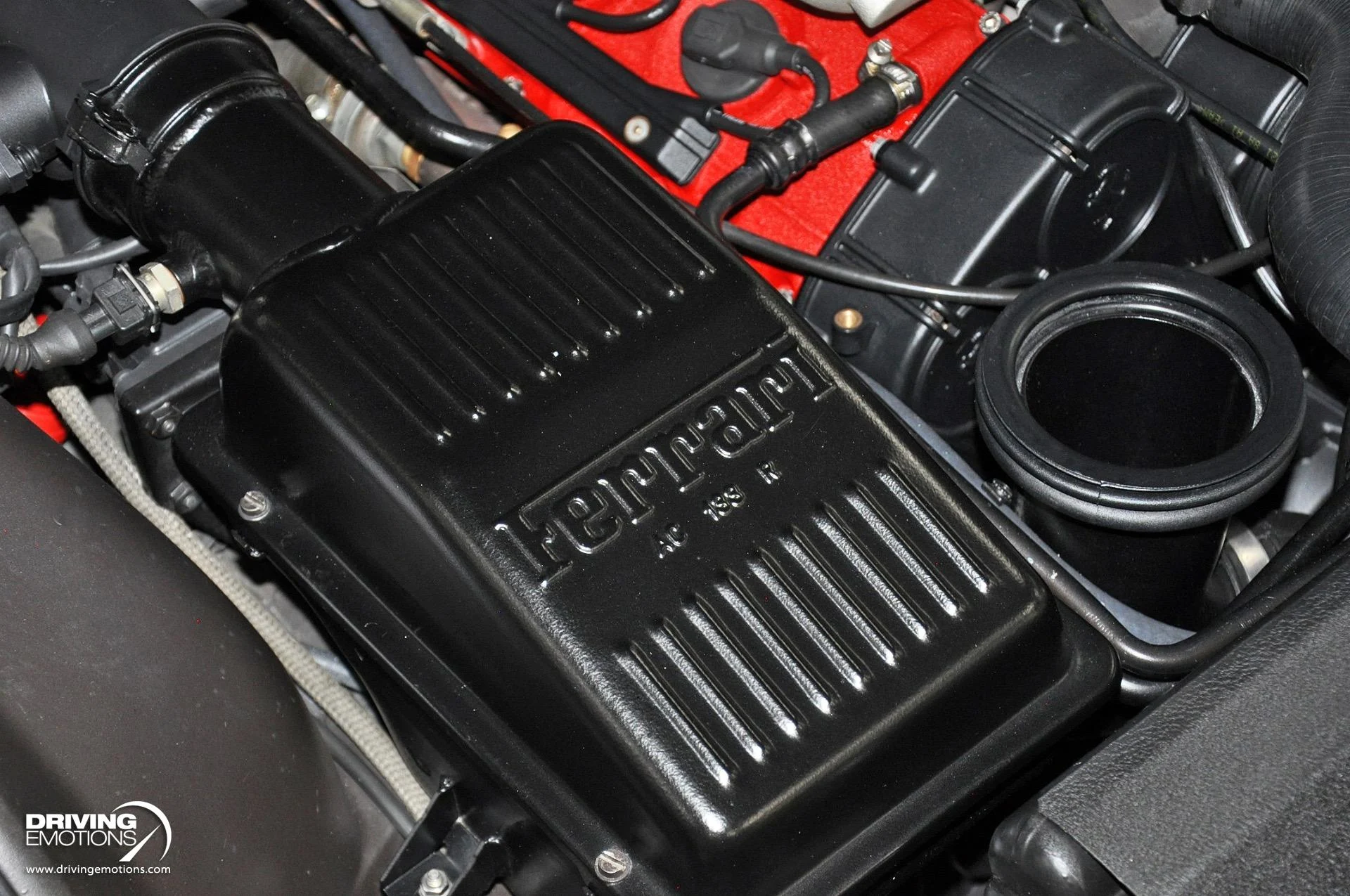 mph117_2472942916_284_p118_l_e6dffb75da