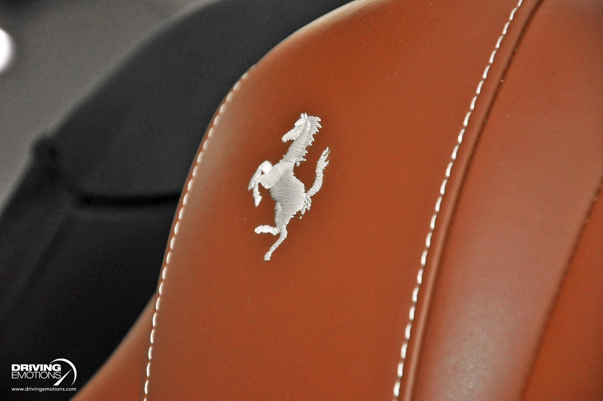 mph117_3361055728_896_p118_l_6108f81b7f