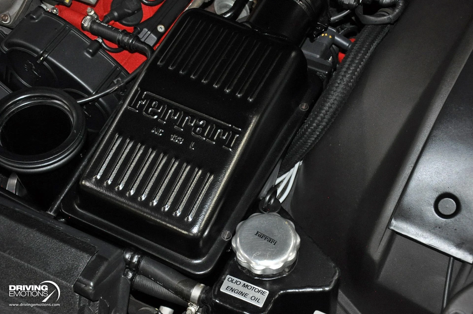 mph118_2039801158_284_p119_l_a2946c5837