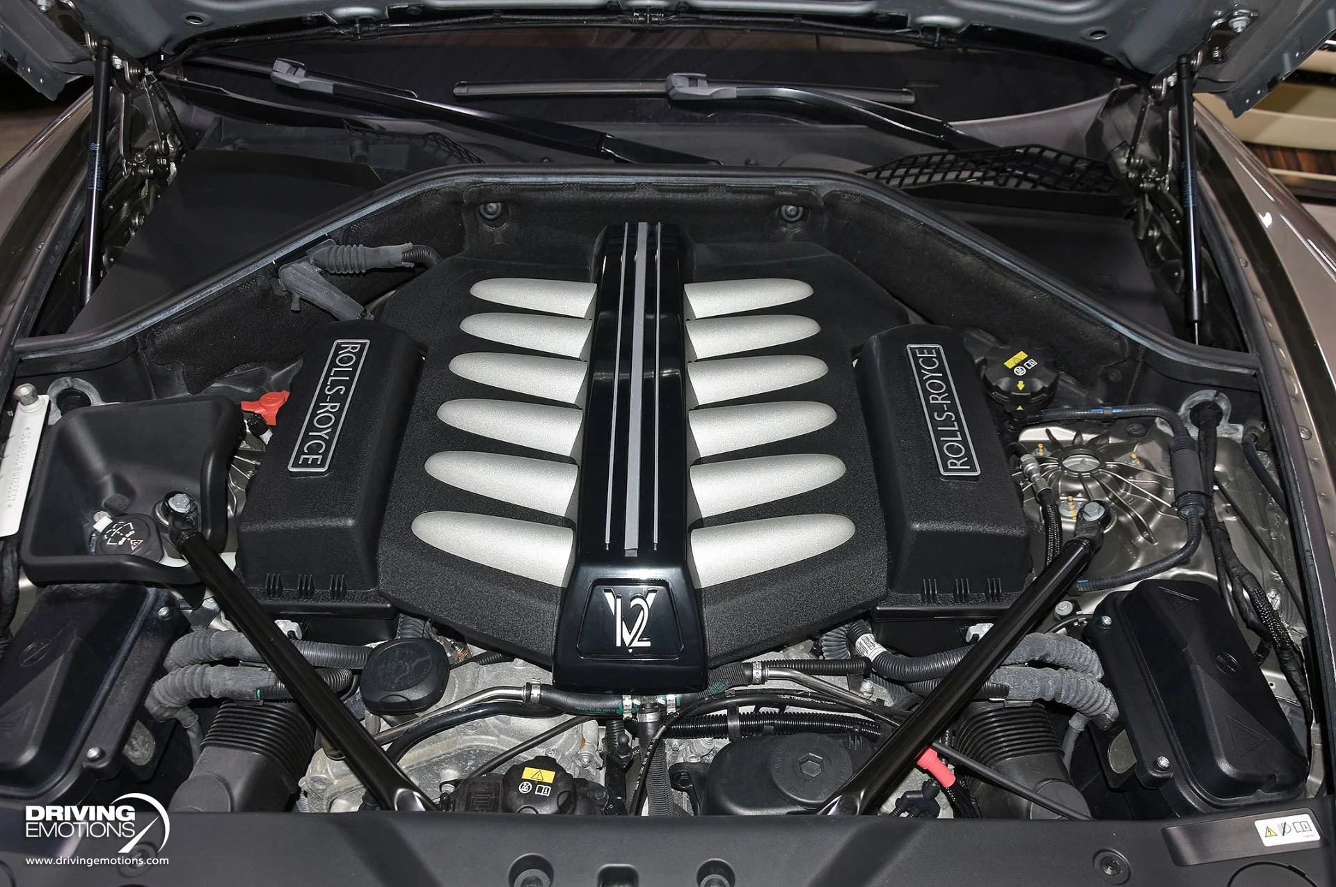 mph120_1693252586_883_p121_l_7bbf503660