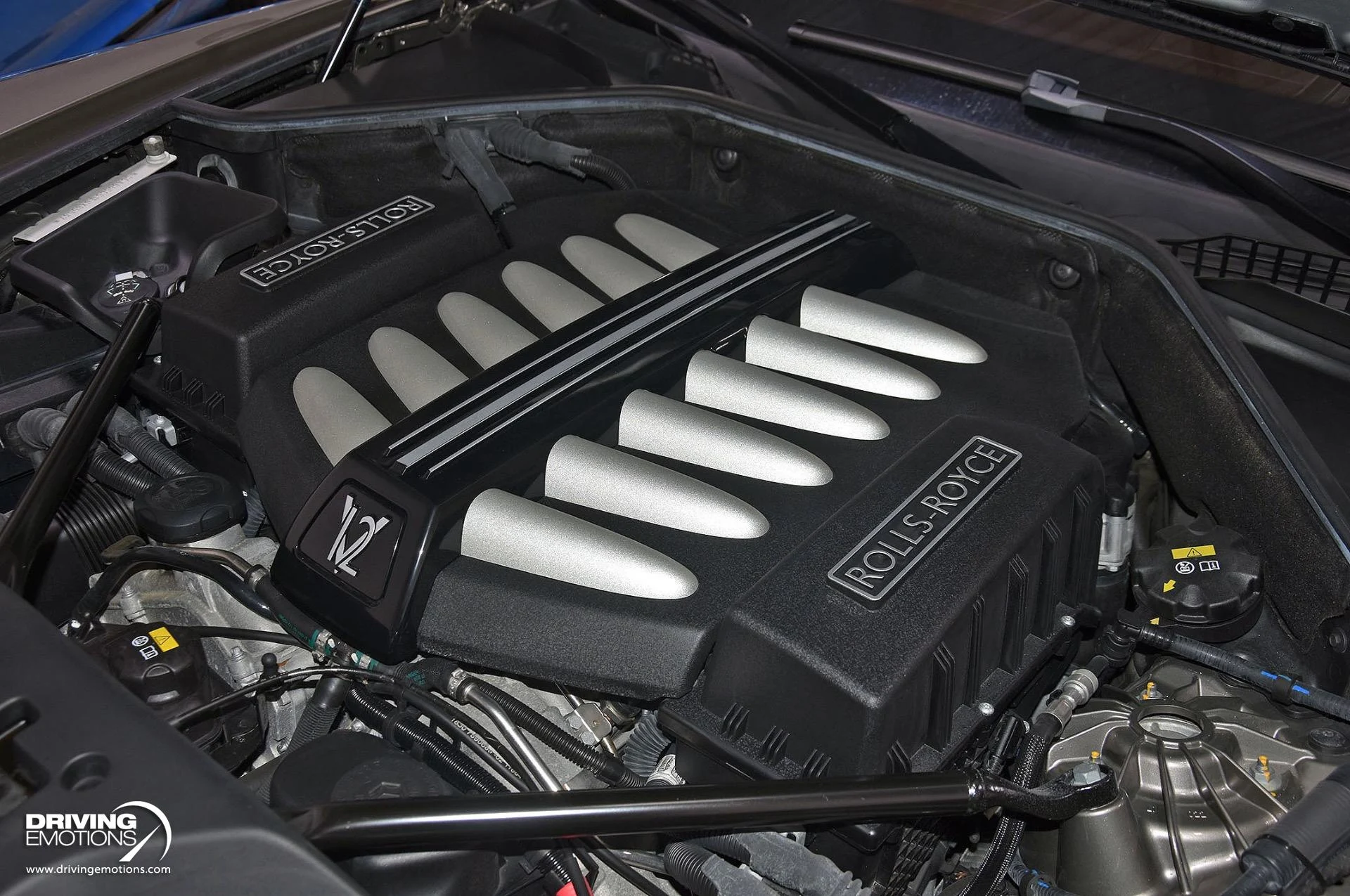 mph121_3236982269_883_p122_l_ebd7ad9cf8