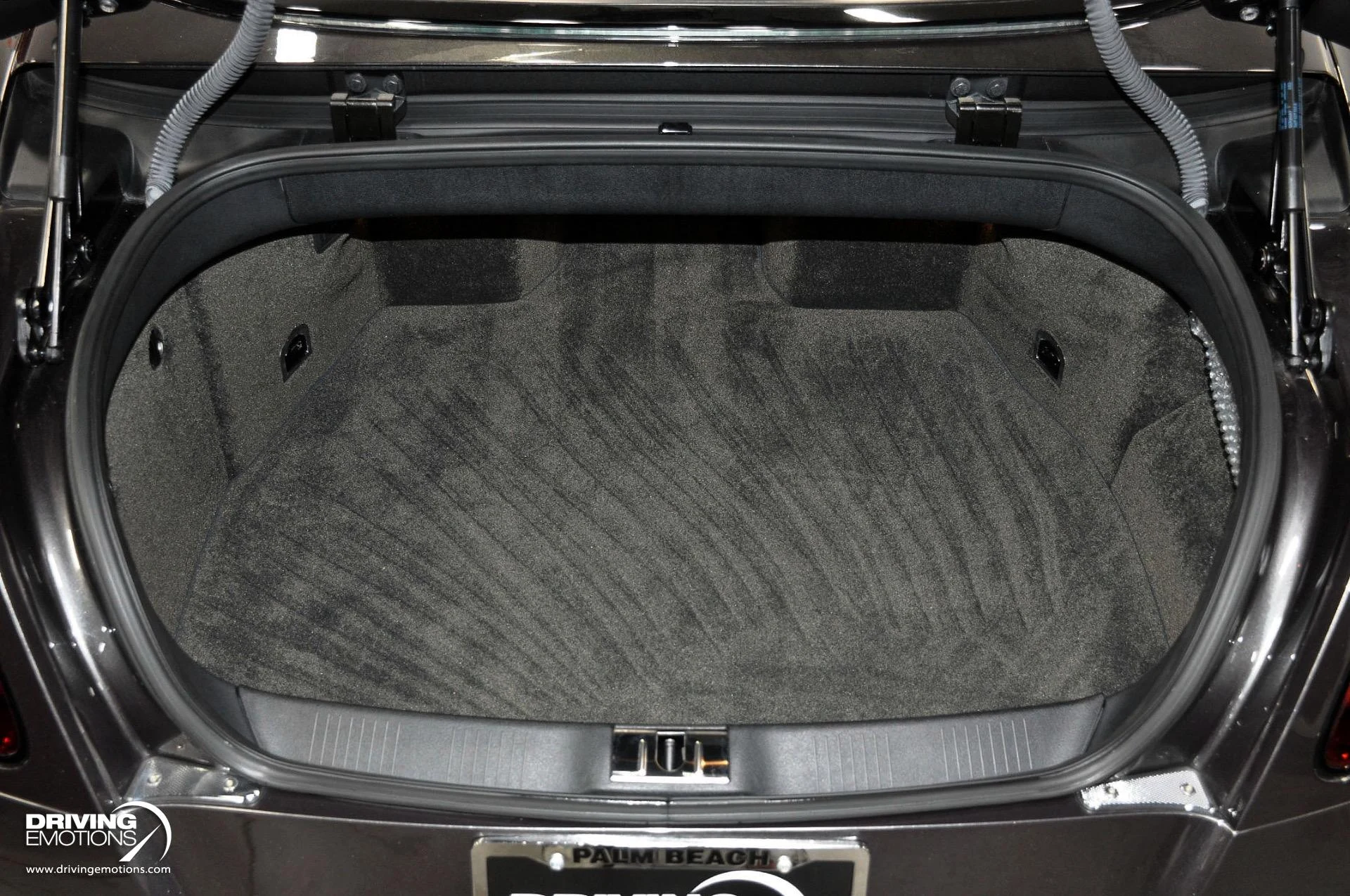 mph121_3869737996_891_p122_l_cccaa2aeba