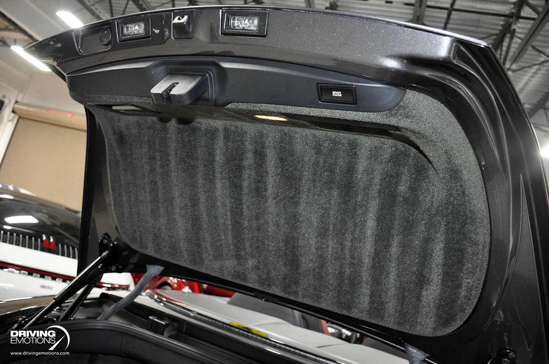 mph122_1067319389_891_p123_l_ce091e962e