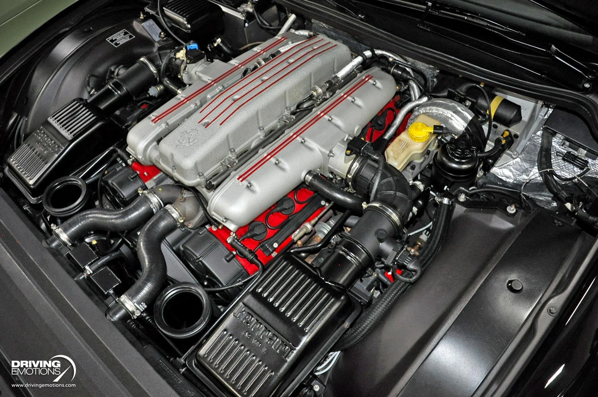 mph122_3093811508_284_p123_l_0cb23305ec