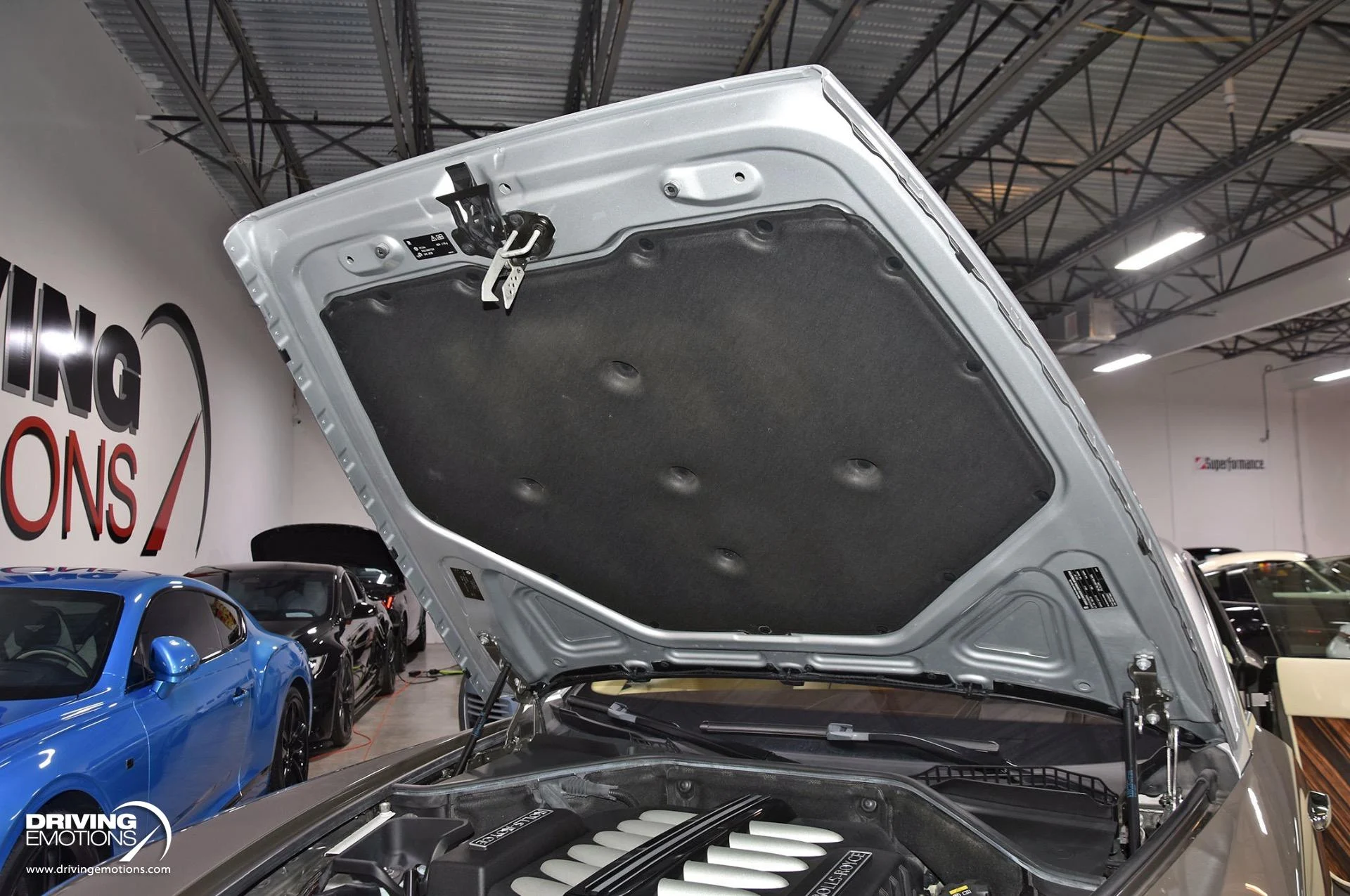 mph122_3849097463_883_p123_l_275f4f50c8