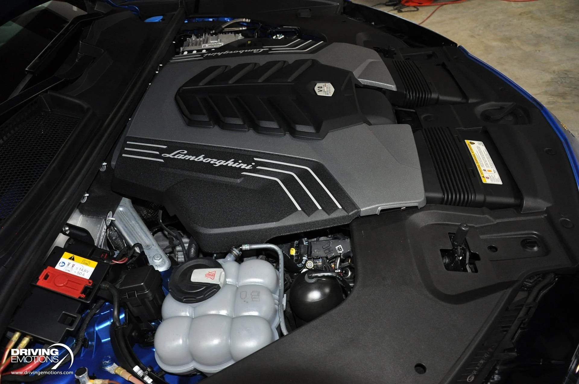 mph122_4155617748_801_p123_l_72ac57949f