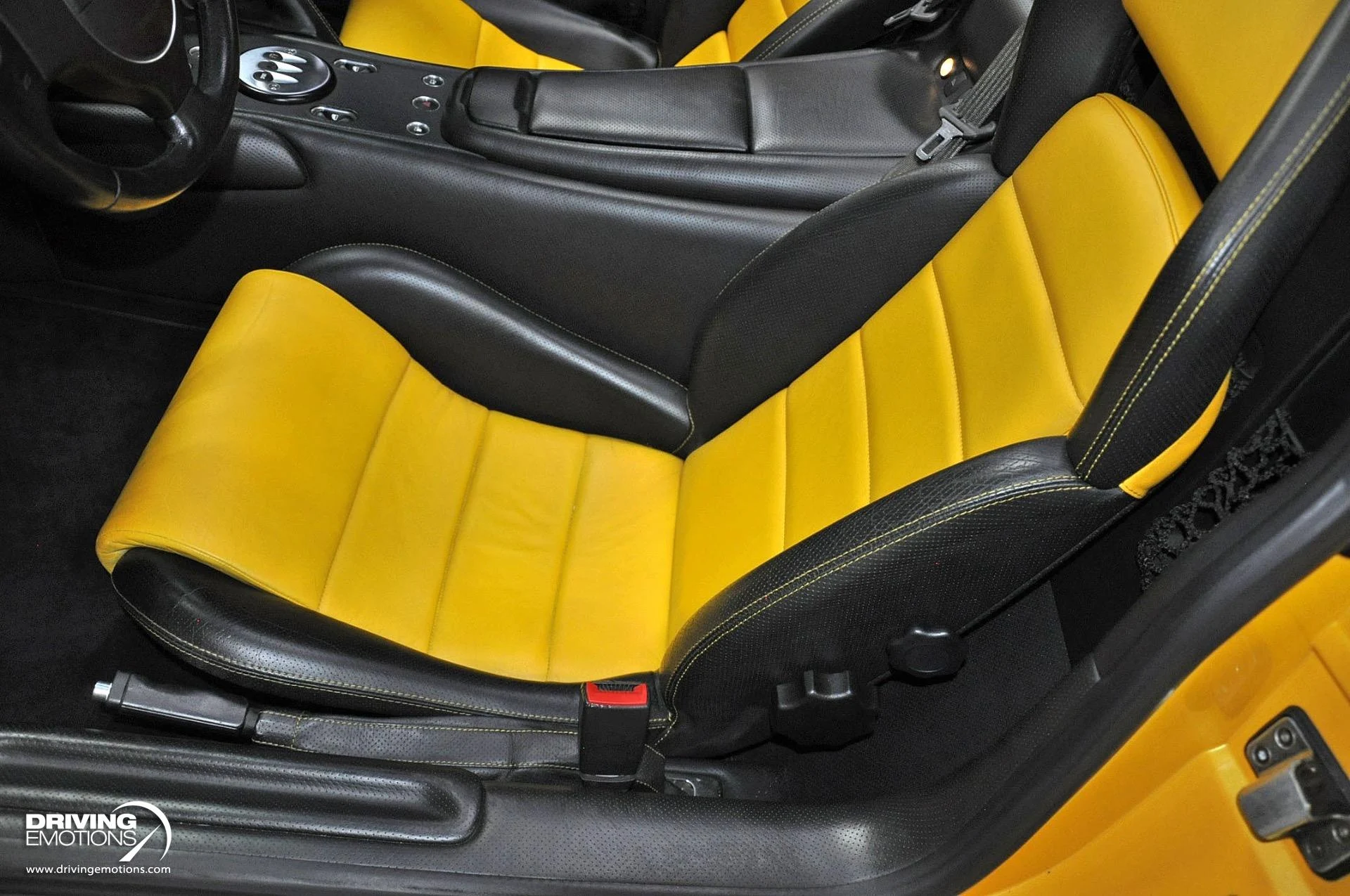 mph122_50275355_862_p123_l_8c14e43664