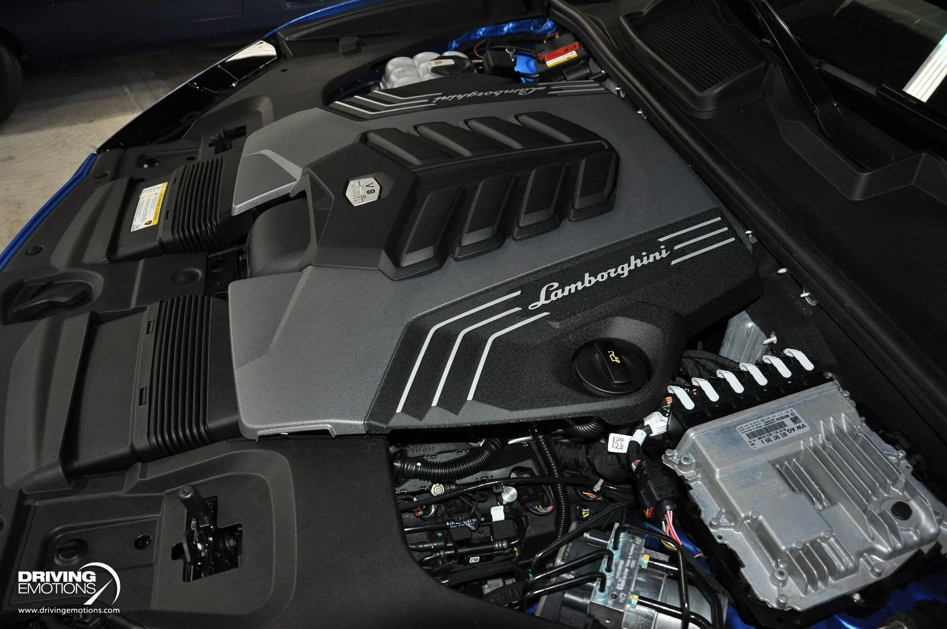 mph123_2796553457_801_p124_l_b13e55e949