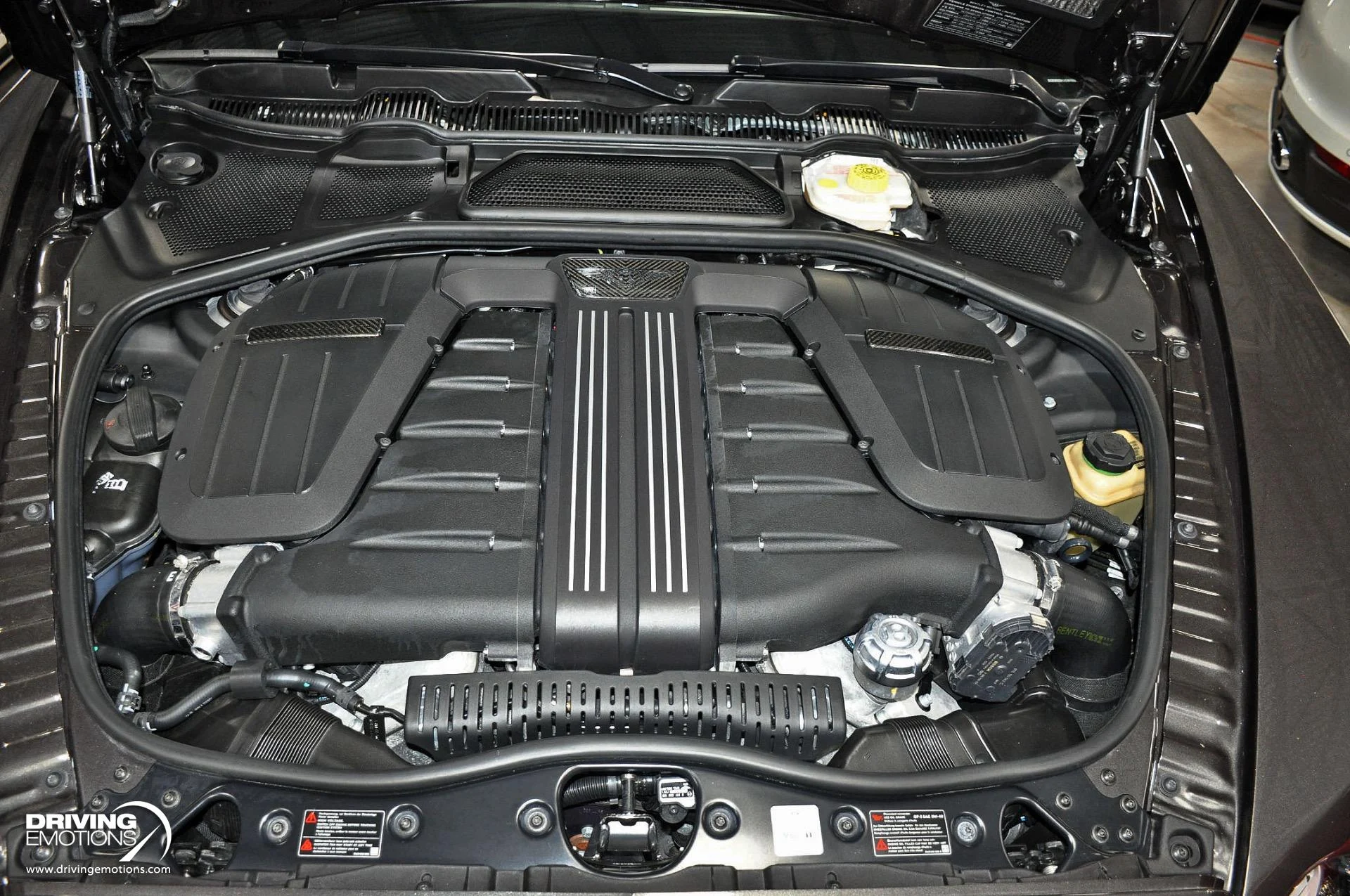 mph124_3789046737_891_p125_l_316fa4bbaf