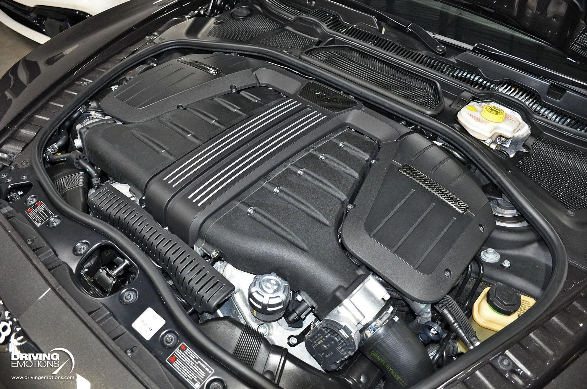 mph125_2311795583_891_p126_l_b2eb325eee