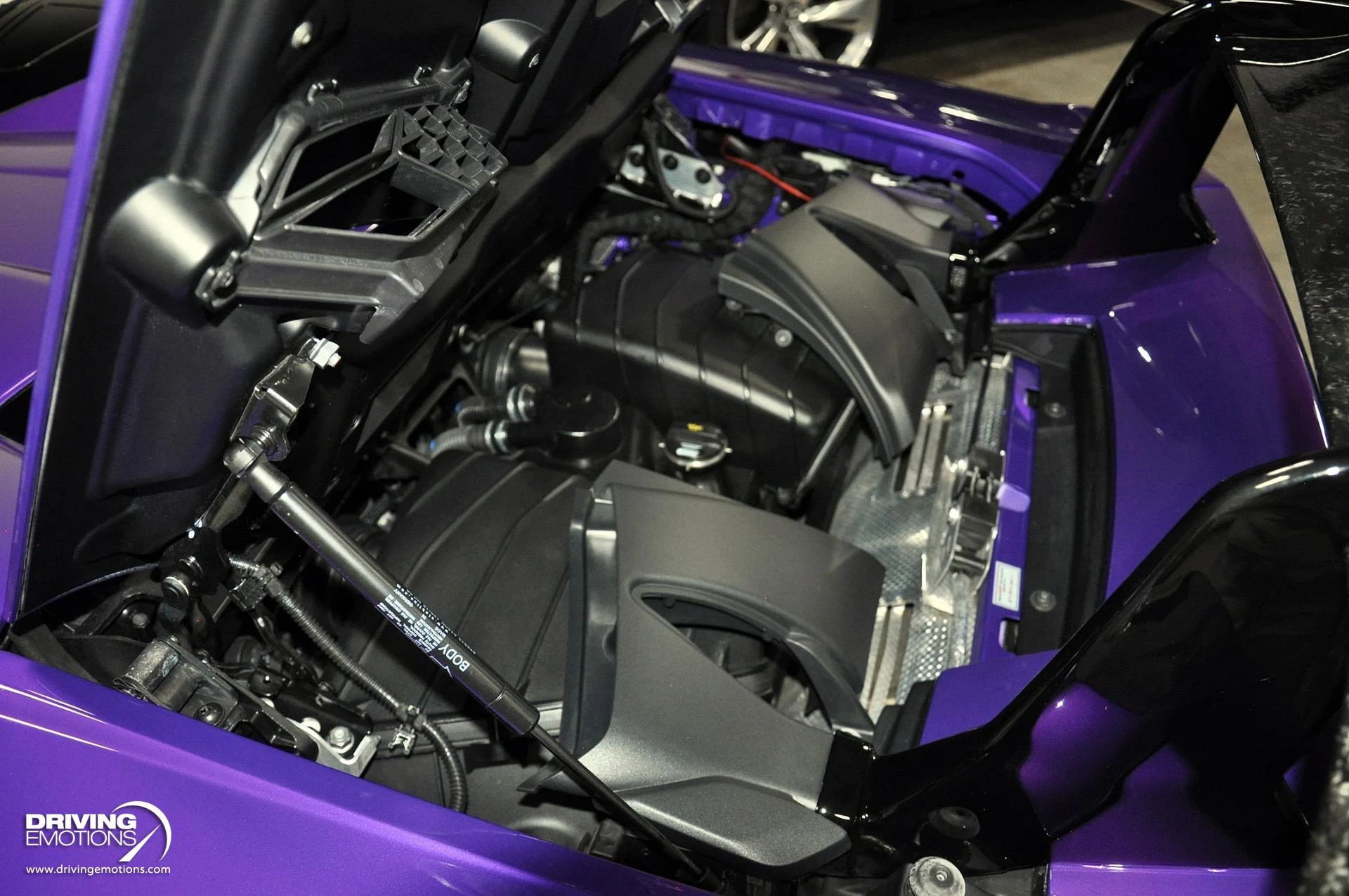 mph125_3874018456_863_p126_l_6ef4c80924