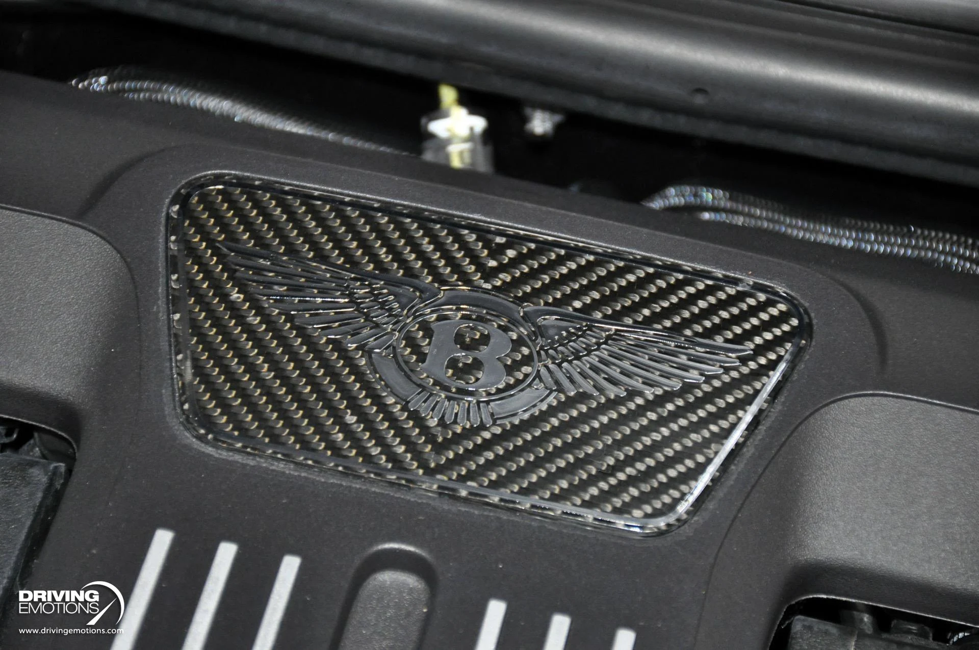 mph126_2487391272_891_p127_l_478ec807d9