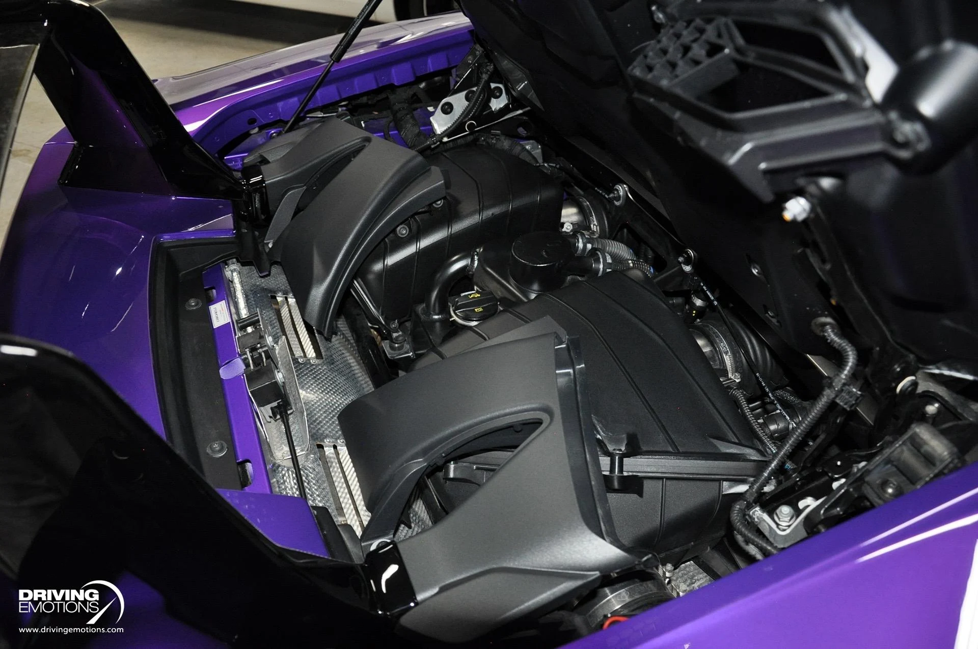 mph126_2651135945_863_p127_l_fb59b9f866