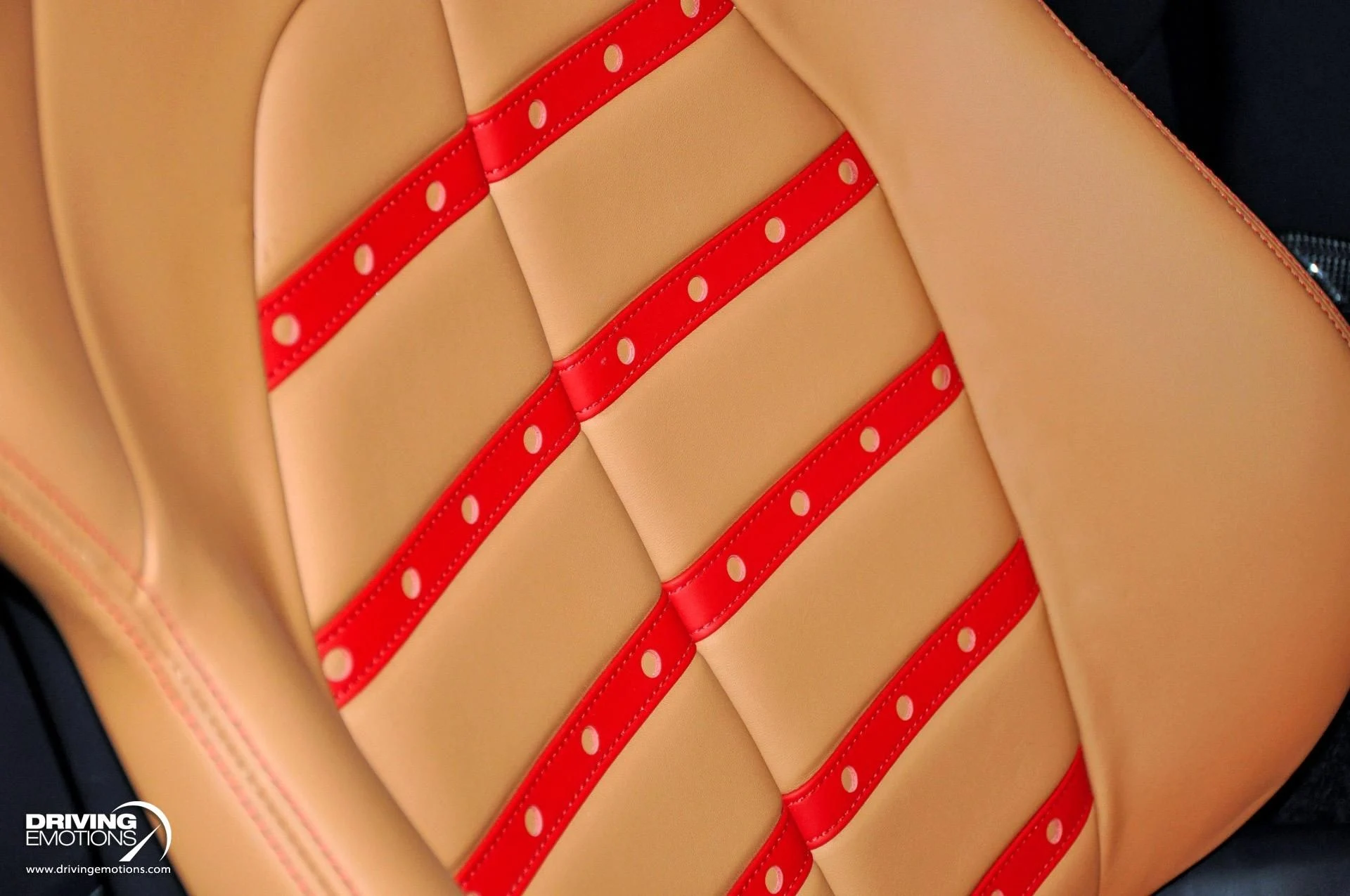 mph128_1738199643_860_p129_l_da5435151c