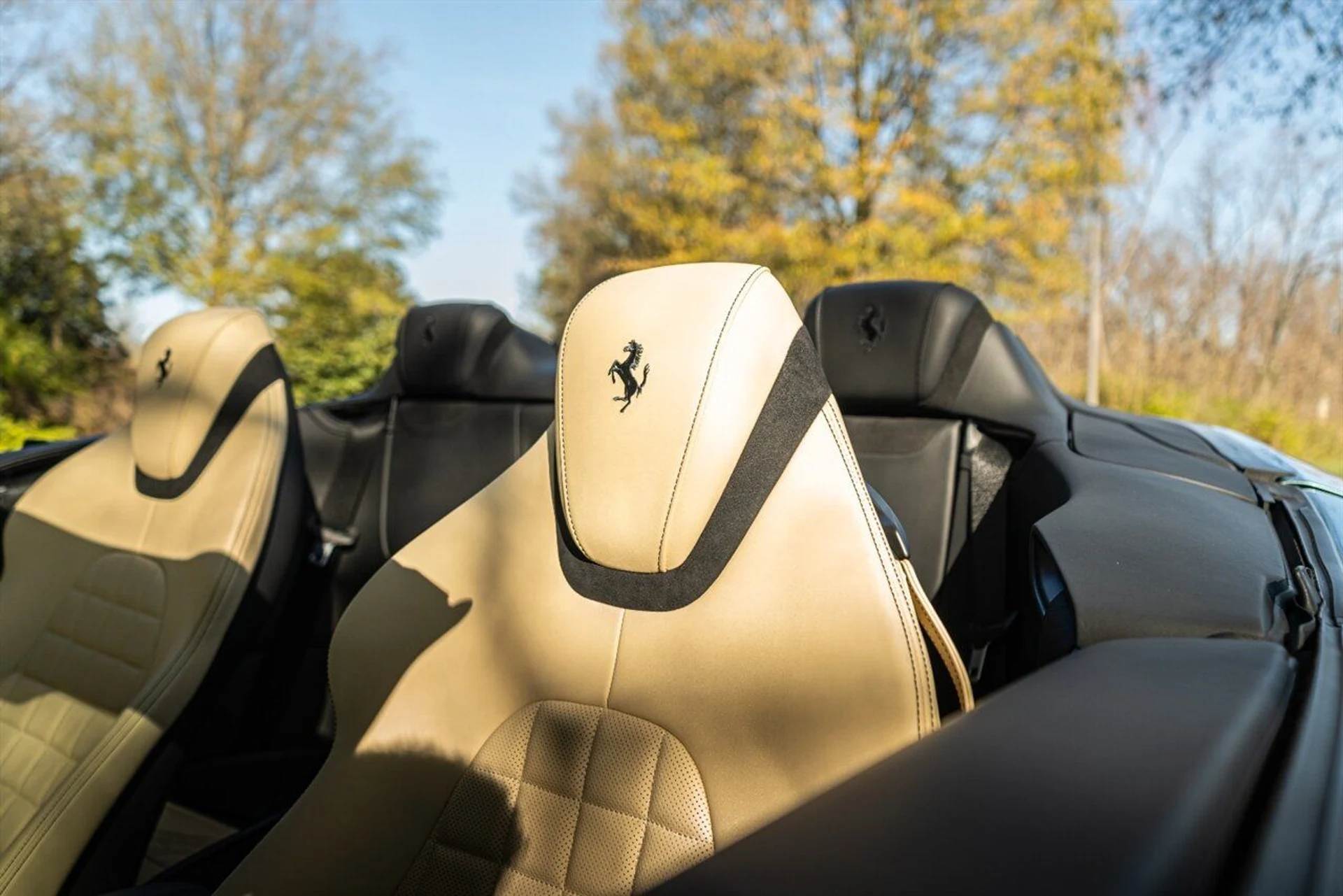 mph129_1589084079_5934e1a5c9_1280_18bf6c6b4f