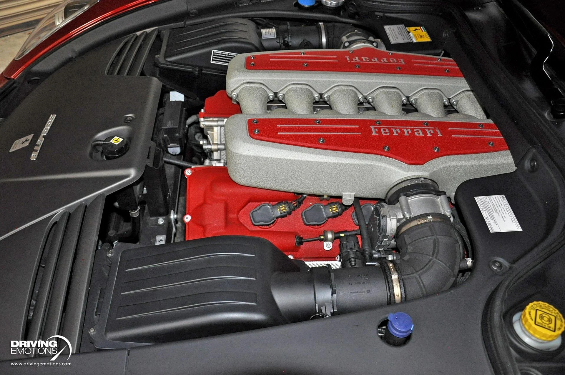 mph130_4228887786_867_p131_l_272503e006