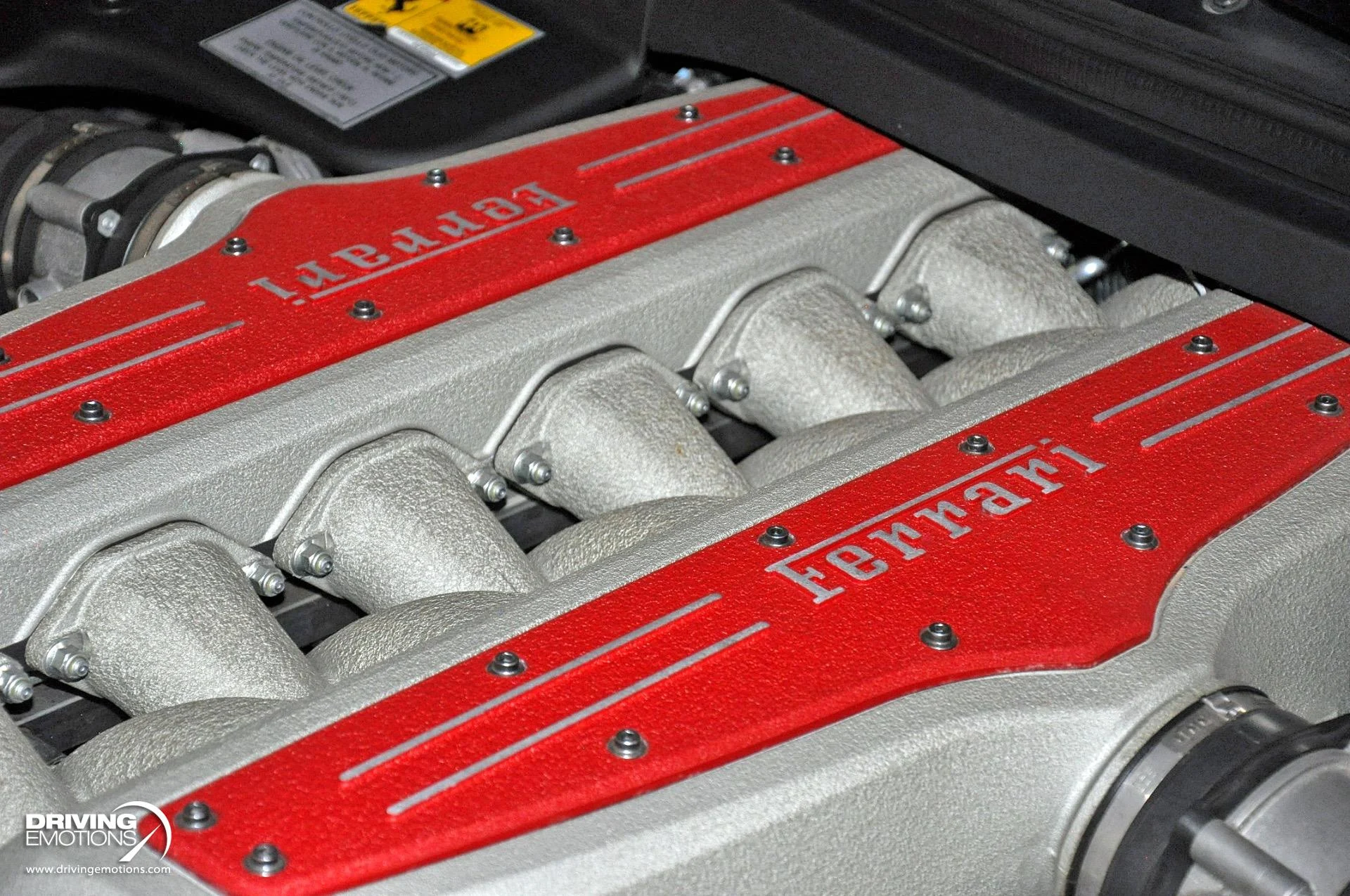 mph131_3812754602_867_p132_l_5c966bd8d6