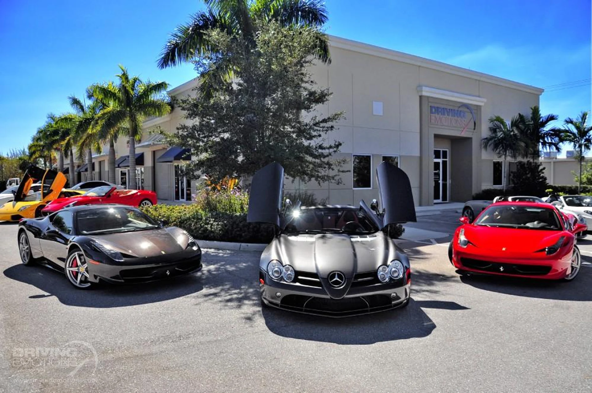 mph134_3136975011_186_p135_l_b909092f5e