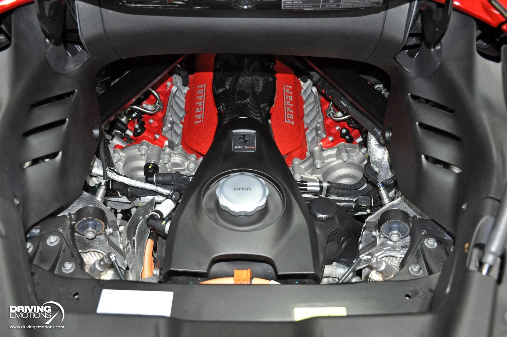 mph136_3182857468_860_p137_l_8cb2805958