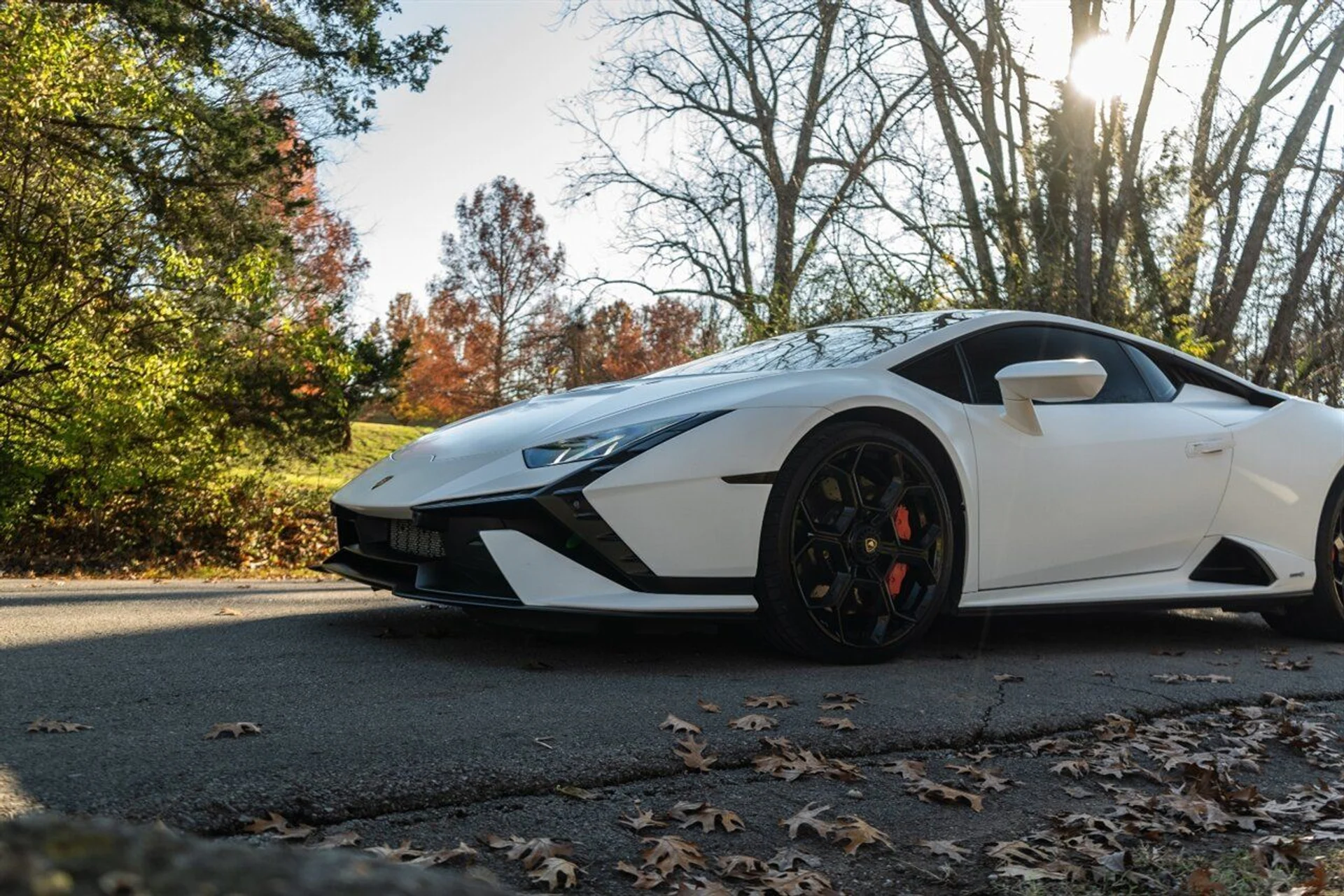 mph136_3745960764_71b625ae6f_1280_b74537500d