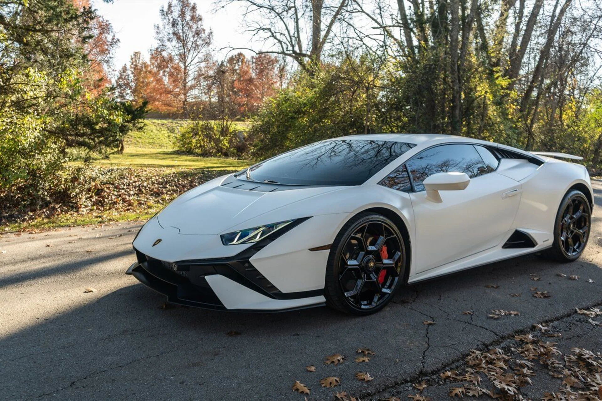 mph137_612457913_b975ab64fb_1280_981aaaebd0