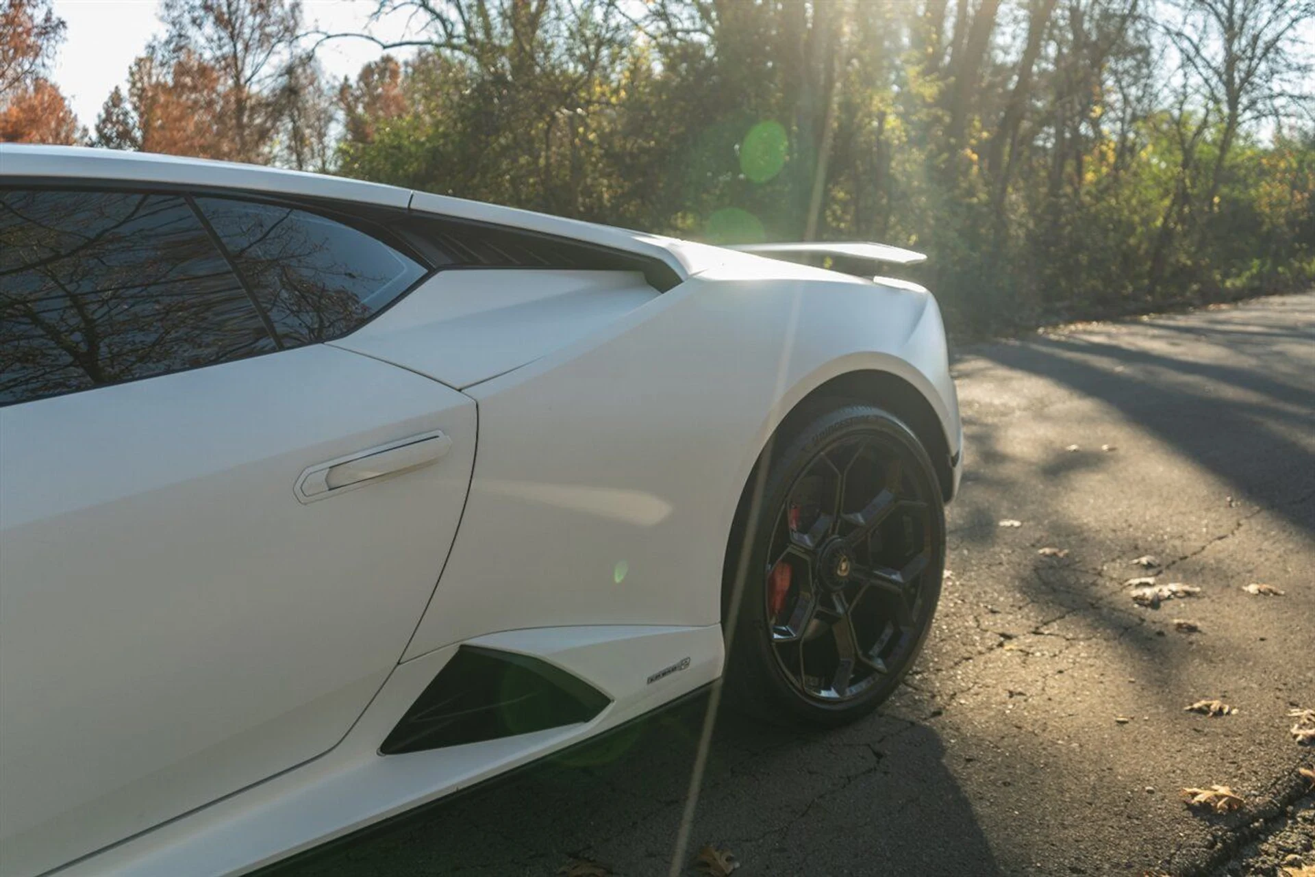 mph138_579413657_f2ddea51e7_1280_6ae580227f