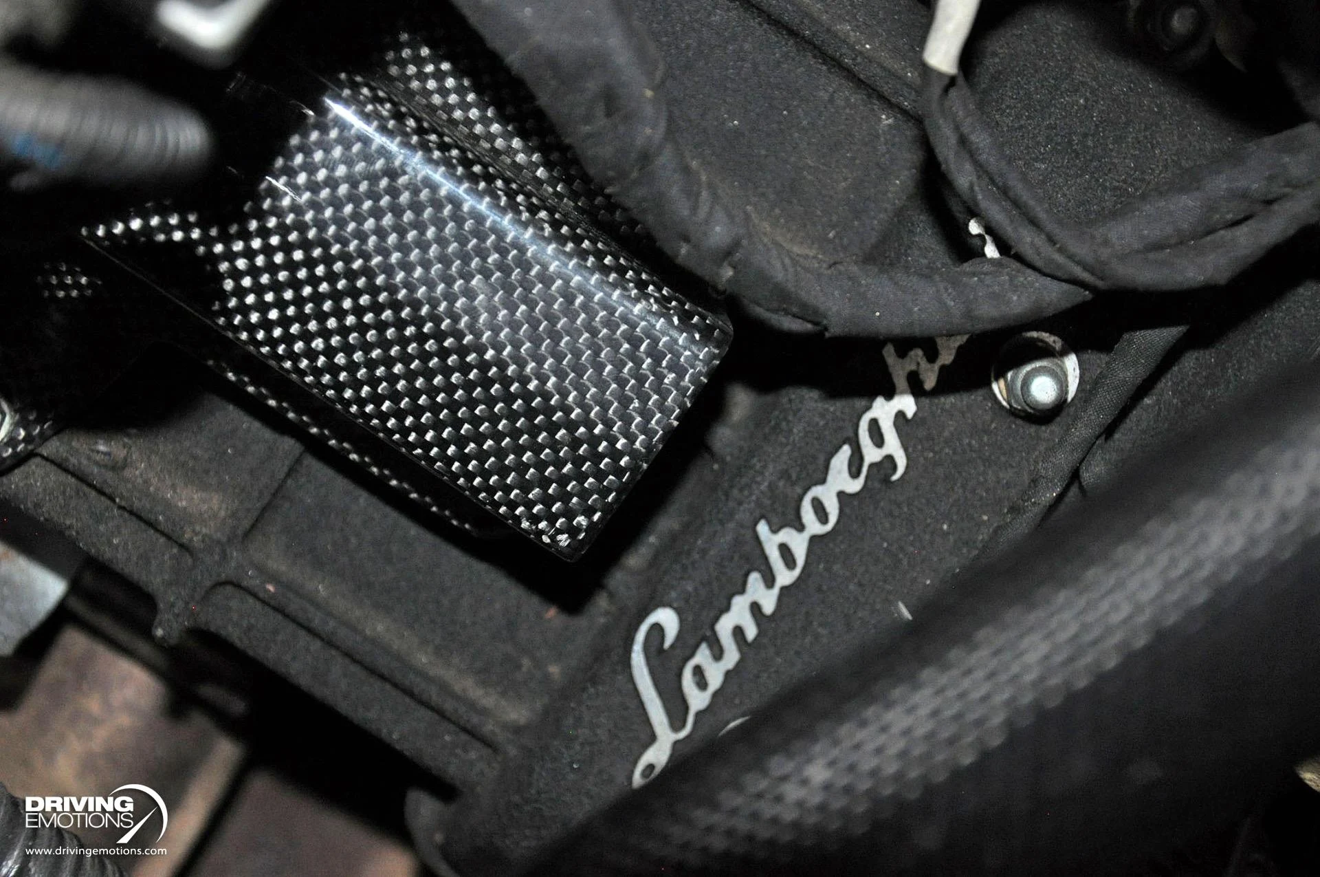 mph140_3982901410_862_p141_l_ab346899a4