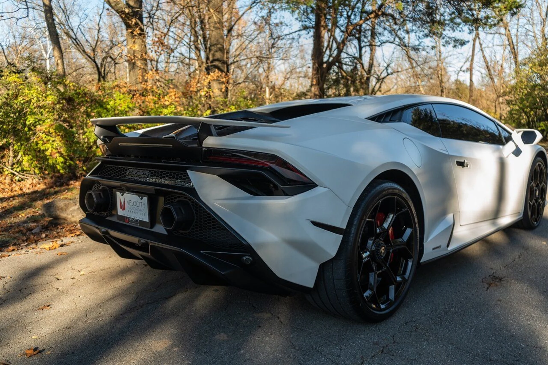 mph141_766616998_df985f04ff_1280_68fac3cfa8