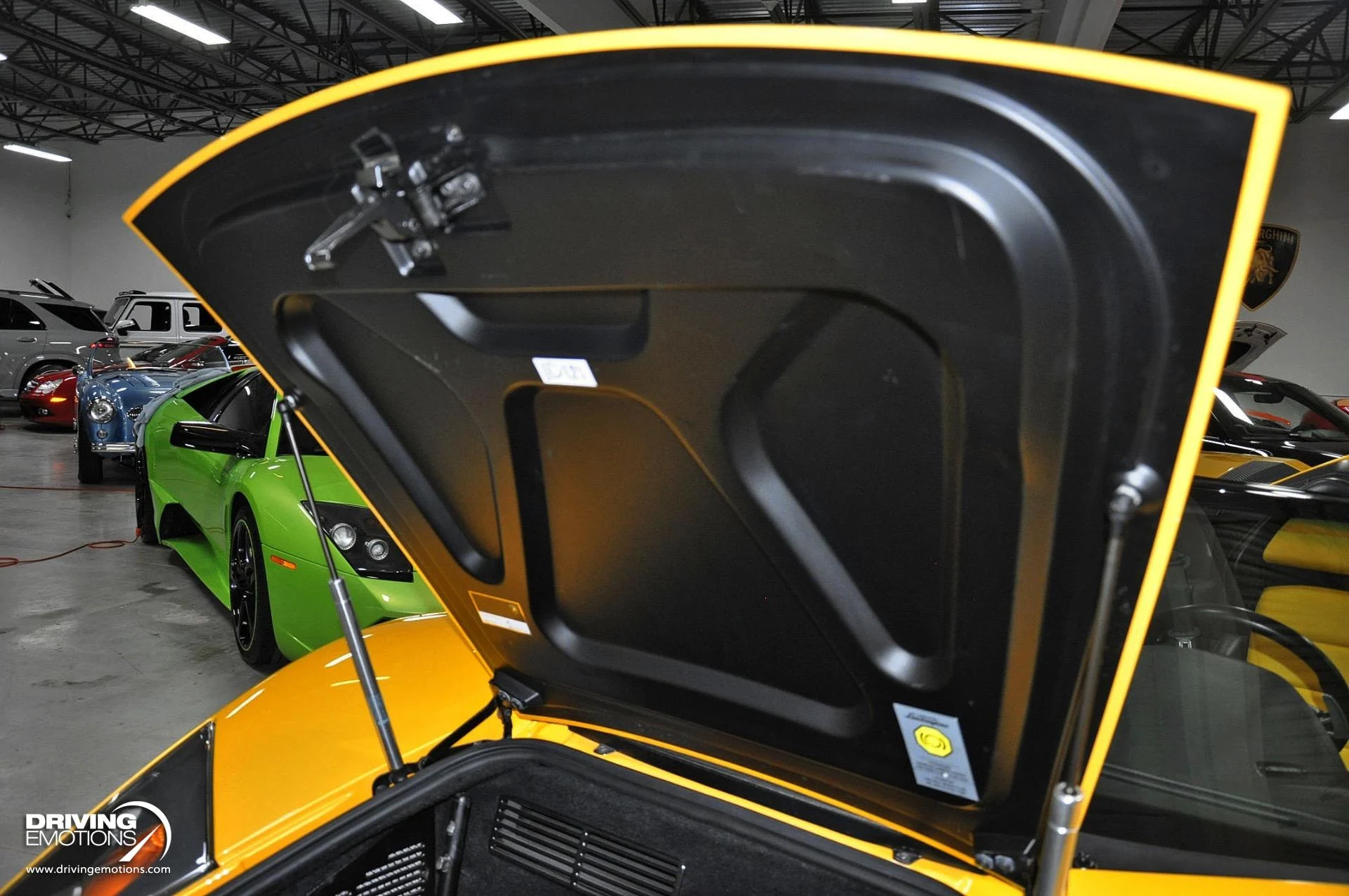 mph145_383909997_862_p146_l_e964c904cd