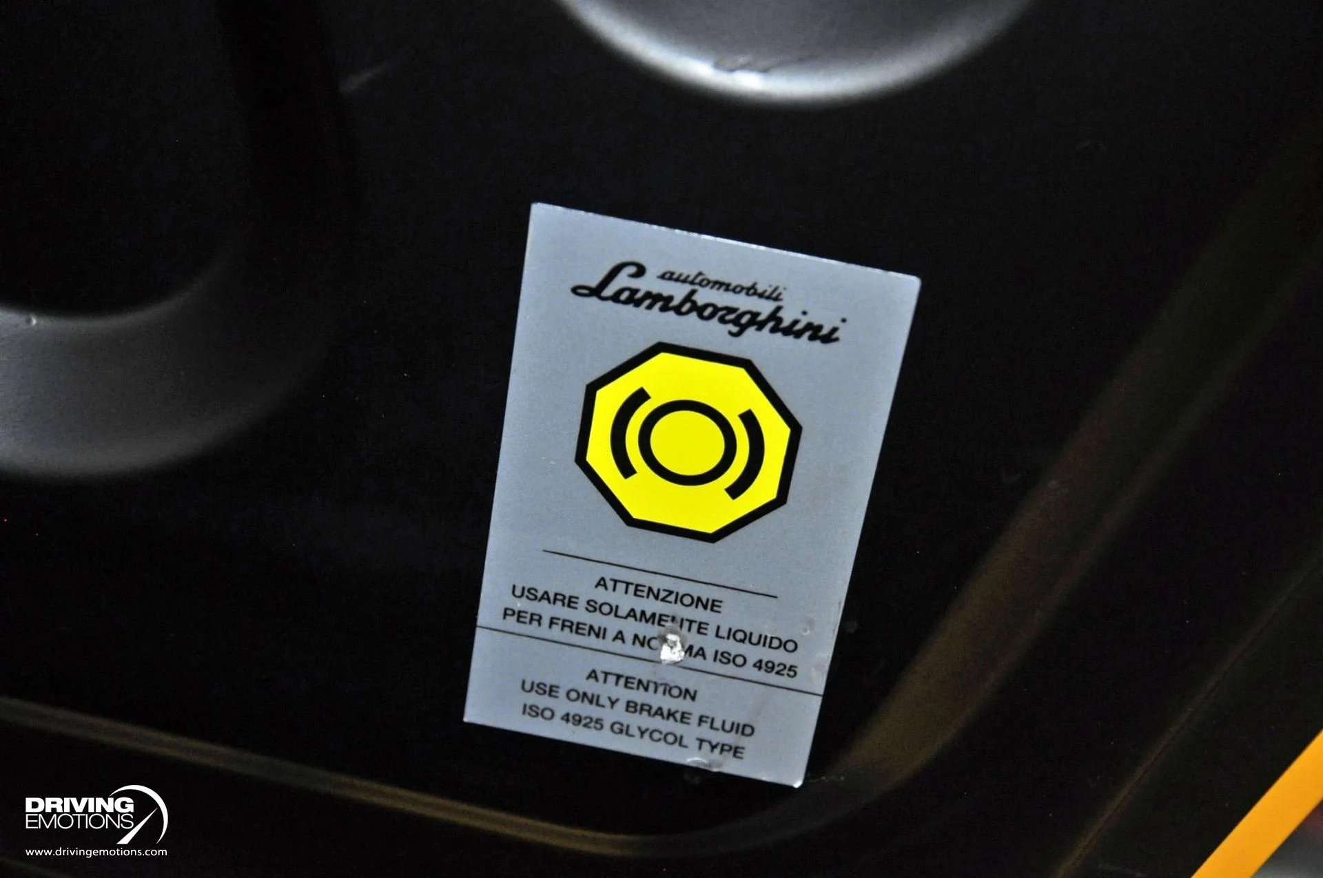 mph147_2826357948_862_p148_l_8d12419a5a